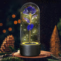 Creative 2 In 1 Rose Flowers LED Light And Bluetooth-compatible Speaker Valentine's Day Gift Rose Luminous Night Light Ornament In Glass Cover - AMAZEALL